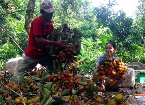 Bến Tre phấn đấu cuối năm 2020 có ít nhất 45 xã đạt chuẩn nông thôn mới