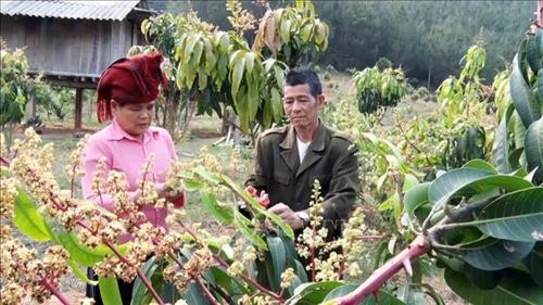 Kỷ niệm Ngày Quốc tế phụ nữ 8/3: Lan tỏa chương trình “Đồng hành cùng phụ nữ biên cương"