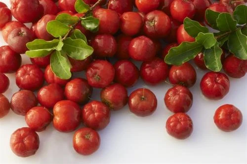 Công dụng ít biết của quả sơ ri