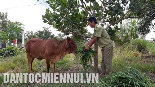 Khởi sắc vùng biên Tà Pét