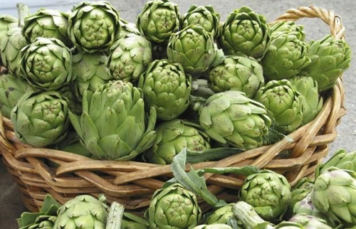 Cách giải độc gan bằng thảo dược dễ kiếm