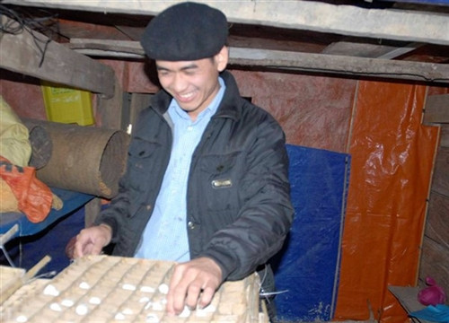 Những triệu phú dâu tằm trên vùng đất khó