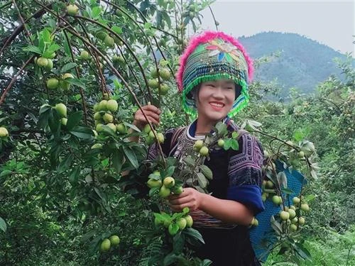 Động lực giúp người dân vươn lên thoát nghèo ở huyện vùng cao Mù Cang Chải