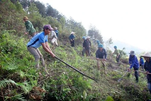 Lai Châu chủ động ngăn chặn và kiểm soát “lửa rừng”