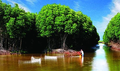 Hỗ trợ nông dân Trà Vinh sản xuất thích ứng biến đổi khí hậu