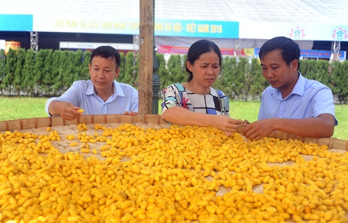 Liên hoan Du lịch Làng nghề truyền thống Hà Nội - Việt Nam 2016 