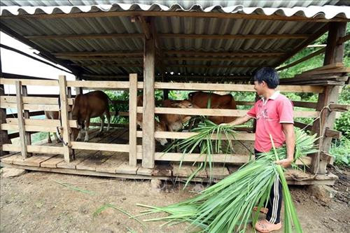 Hiệu quả các chương trình giảm nghèo ở Điện Biên