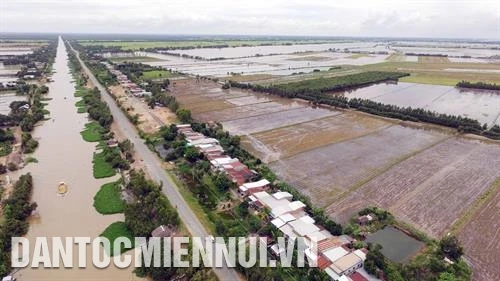 Đánh thức tiềm năng vùng Đồng Tháp Mười