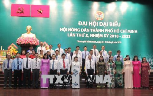 Nông dân Thành phố Hồ Chí Minh chủ động, sáng tạo trong xây dựng nền nông nghiệp đô thị