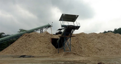 Cây keo góp phần xóa đói giảm nghèo cho đồng bào dân tộc ở Bắc Trà My