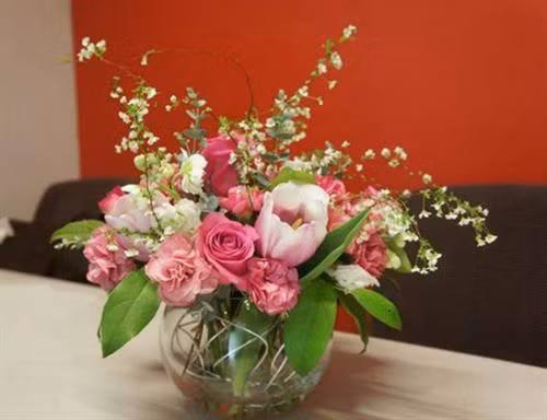 Chăm sóc hoa ngày Tết thế nào để hoa nở được bền lâu