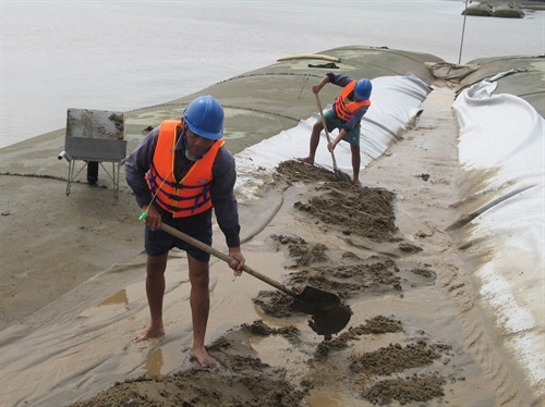 Nỗ lực cứu rừng phòng hộ bảo vệ đê biển Gò Công