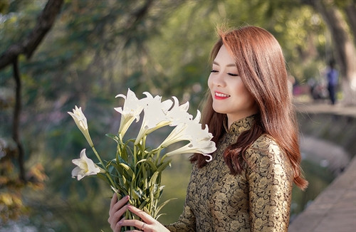 Hà Nội đẹp thơ mộng mùa cây thay lá