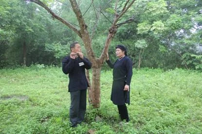 Chợ tình Xuân Dương - Nét văn hóa trong cộng đồng người Tày, Nùng