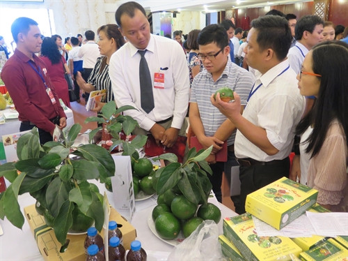 Hội nghị kết nối cung cầu khu vực miền Trung - Tây Nguyên