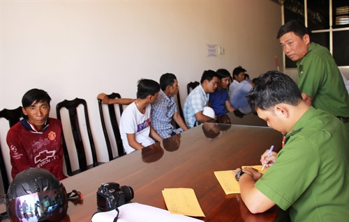 Cà Mau: Liên tiếp triệt xoá các trường gà quy mô lớn