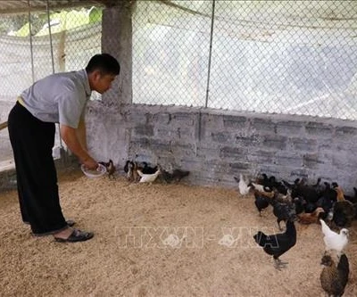 Chương trình 135 góp phần giảm nghèo cho đồng bào dân tộc thiểu số Yên Bái