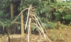 Người Cơ Ho