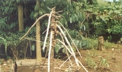 Người Cơ Ho
