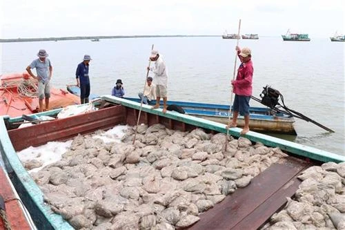 Phát huy thế mạnh nuôi trồng và khai thác thủy sản