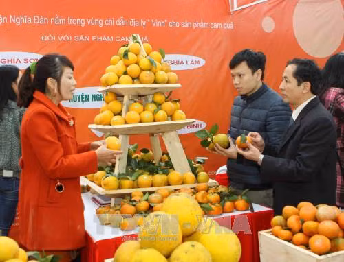 Cam Vinh được cấp chứng nhận chỉ dẫn địa lý