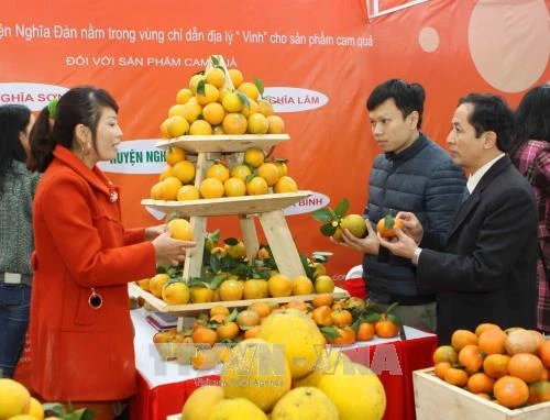 Cam Vinh được cấp chứng nhận chỉ dẫn địa lý