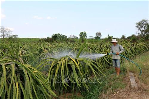 Người dân vùng cao Thuận Hòa thiếu nước sạch trong mùa khô