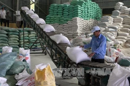 Hơn 92% lượng gạo xuất khẩu là hợp đồng thương mại