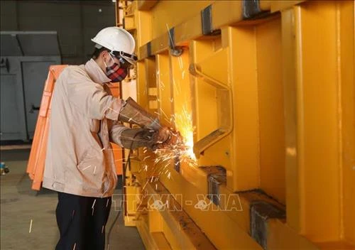 Tổ chức Tổng điều tra kinh tế năm 2021