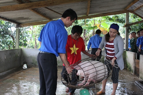 Xuân mới trên bản Rào Tre