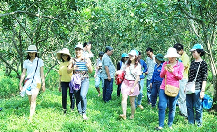Cần Thơ: Du lịch đường sông gắn với di tích văn hóa- lịch sử