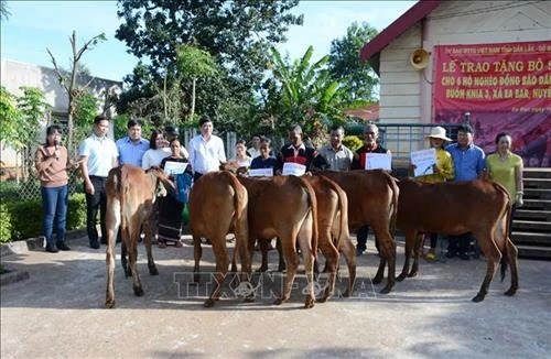 Nguồn lực Nhà nước giữ vai trò quyết định trong thực hiện chính sách dân tộc