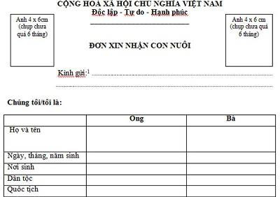 Ban hành Nghị định 24 có quy định mới về rà soát, tìm người nhận trẻ em làm con nuôi