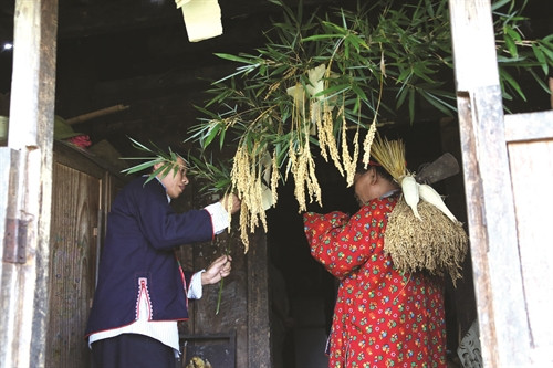 Tục cúng hồn lúa ở Hoàng Su Phì