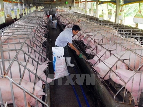 Long An triển khai Tháng hành động vì an toàn thực phẩm 2017