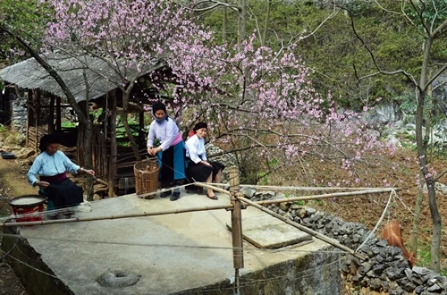 Bảo tồn, gìn giữ di sản Cao nguyên đá Đồng Văn