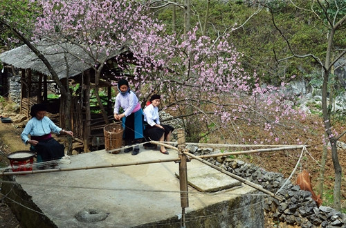 Bảo tồn, gìn giữ di sản Cao nguyên đá Đồng Văn
