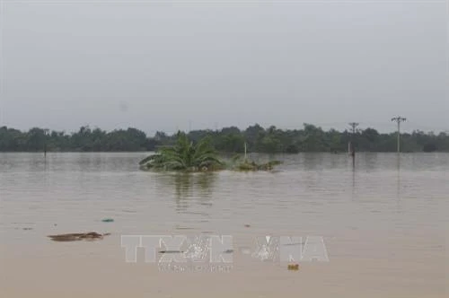 Thanh Hóa: Chồng chất khó khăn vực lại sản xuất sau khi lũ đi qua