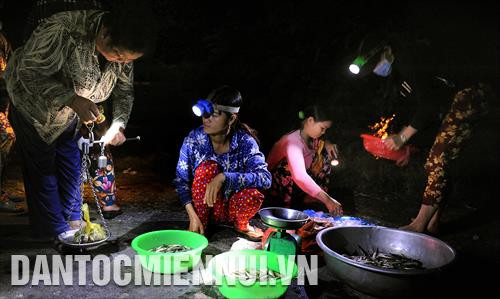 Chợ cá “âm phủ” Tha La mùa nước nổi