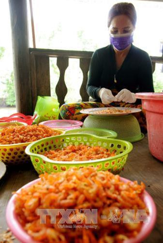 Làng nghề tôm khô Rạch Gốc