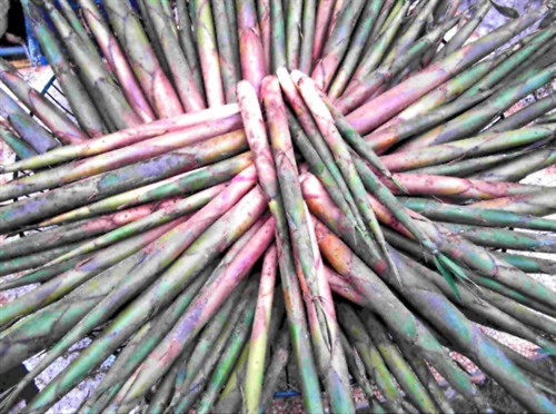 Măng sặt - món ăn đậm hương vị núi rừng