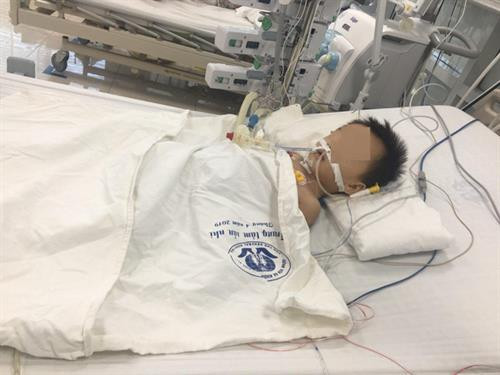 Bé trai 27 tháng tuổi nguy kịch do ngộ độc paracetamol