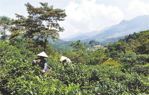 Lùng Vai xây dựng nông thôn mới