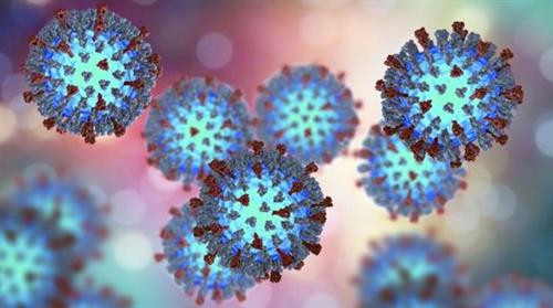 Mô hình 3D cấu trúc nguyên tử của nhóm virus gây bệnh truyền nhiễm