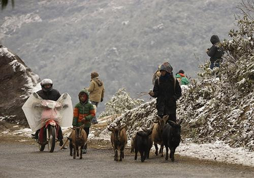 Thời tiết ngày 12/12: Bắc miền Trung mưa rét, miền Bắc sáng sớm có sương mù, vùng núi cao rét đậm
