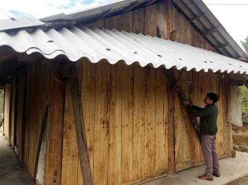 Những ngôi nhà mới ngập sắc Xuân