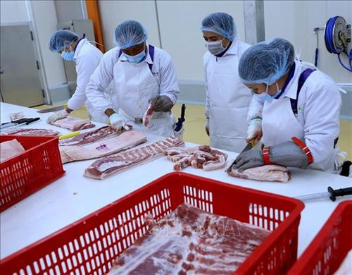 Tập trung phát triển chăn nuôi theo chuỗi liên kết