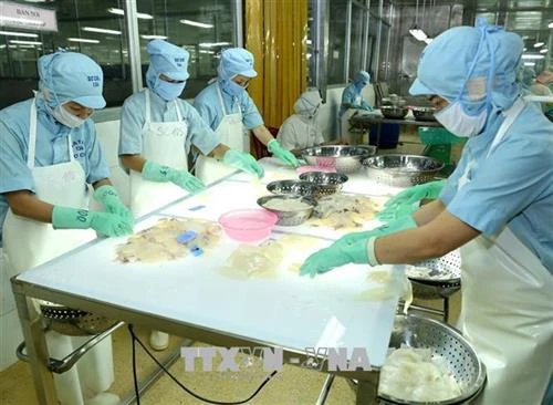 Năm 2018, kim ngạch xuất khẩu thuỷ sản đạt khoảng 9 tỷ USD