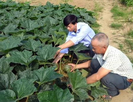Hồi sinh nơi rốn lũ Sơn Lương