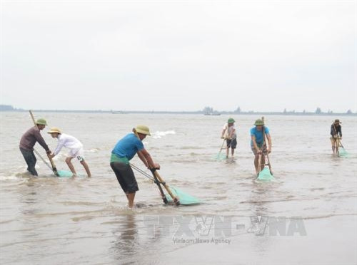 Triệu tập đối tượng tung tin thất thiệt cá chết ở biển Cồn Vành